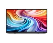 Obrázek k produktu: ACER M161QTb