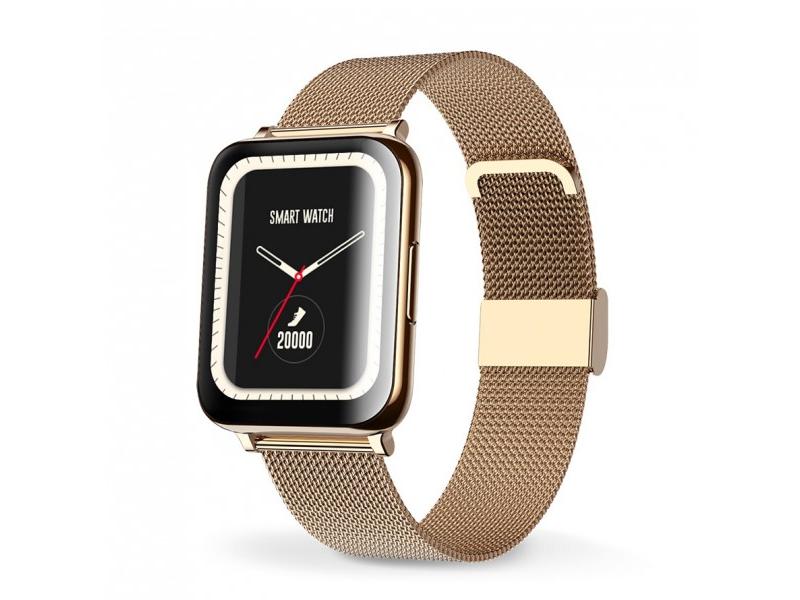 Chytré hodinky ALIGATOR Watch Life (Y65), zlaté (gold)