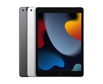 Obrázek k produktu: APPLE iPad Wi-Fi + Cellular 256GB (2021), šedý (gray)