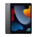 Obrázek k produktu: APPLE iPad Wi-Fi 64GB (2021), šedý (gray)