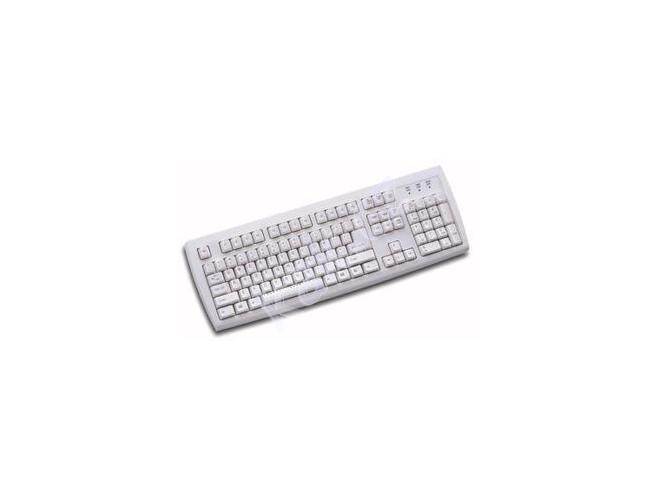 Klávesnice CHICONY  KU-2971, bílá (white)