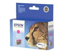 Obrázek k produktu: EPSON C13T071340, purpurová (magenta), 5,5ml