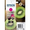 Obrázek k produktu: EPSON T02H34 (č.202XL) Kiwi,