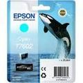Obrázek k produktu: EPSON T7602 Ink Cartridge, modrá (blue)