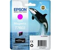 Obrázek k produktu: EPSON T7603 Ink Cartridge, vivid magenta (viv