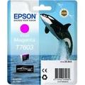 Obrázek k produktu: EPSON T7603 Ink Cartridge, vivid