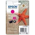 Obrázek k produktu: EPSON C13T03A34010 (č.603XL),