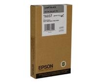 Obrázek k produktu: EPSON T603700, light black, 220 ml