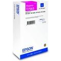 Obrázek k produktu: EPSON  T7563 DURABrite Pro, size L,