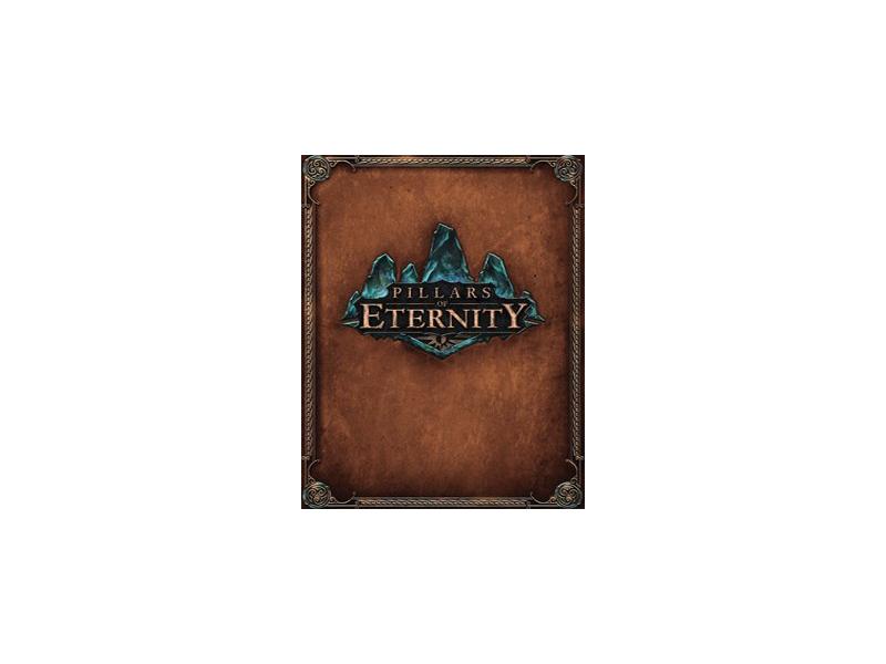 Hra na PC ESD GAMES Pillars of Eternity