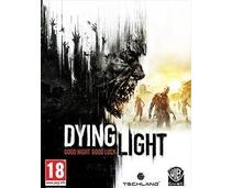 Obrázek k produktu: ESD GAMES Dying Light