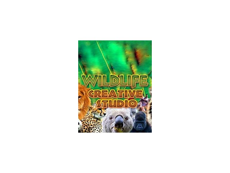 Hra na PC ESD GAMES Wildlife Creative Studio