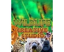 Obrázek k produktu: ESD GAMES Wildlife Creative Studio
