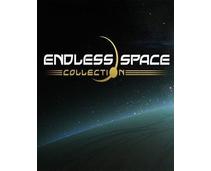 Obrázek k produktu: ESD GAMES Endless Space Collection