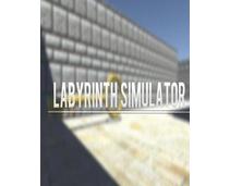 Obrázek k produktu: ESD GAMES Labyrinth Simulator