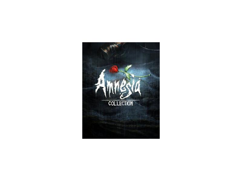 Hra na PC ESD GAMES Amnesia Collection