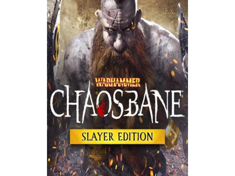 Hra na PC ESD GAMES Warhammer Chaosbane Slayer Edition
