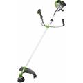 Obrázek k produktu: Fieldmann FZS 3003-B, zelená/černá (green/black)