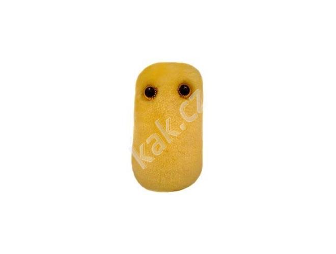 Plyšová hračka ve tvaru mikroba GIANTmicrobes  Kašel (Bordetella pertussis)
