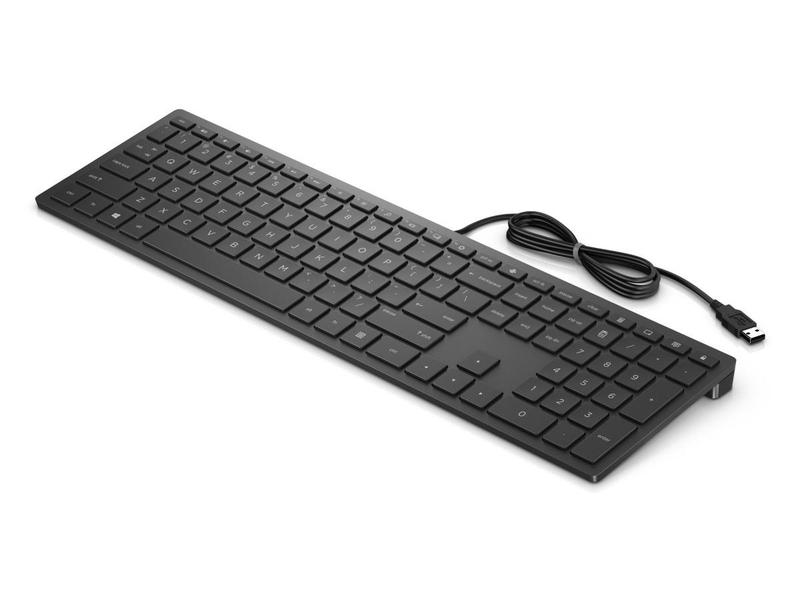 Klávesnice HP Pavilion Keyboard 300, černá (black)