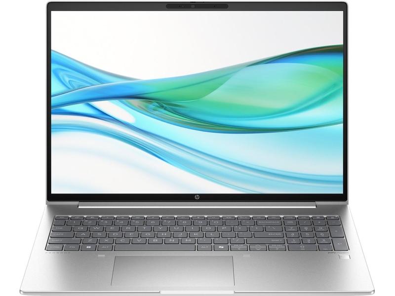 Notebook HP ProBook 460 G11, stříbný (silver)