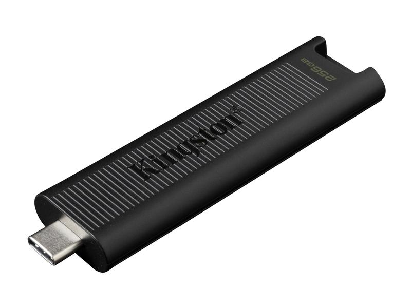 Přenosný flash disk KINGSTON 256GB Kingston DT Max USB-C