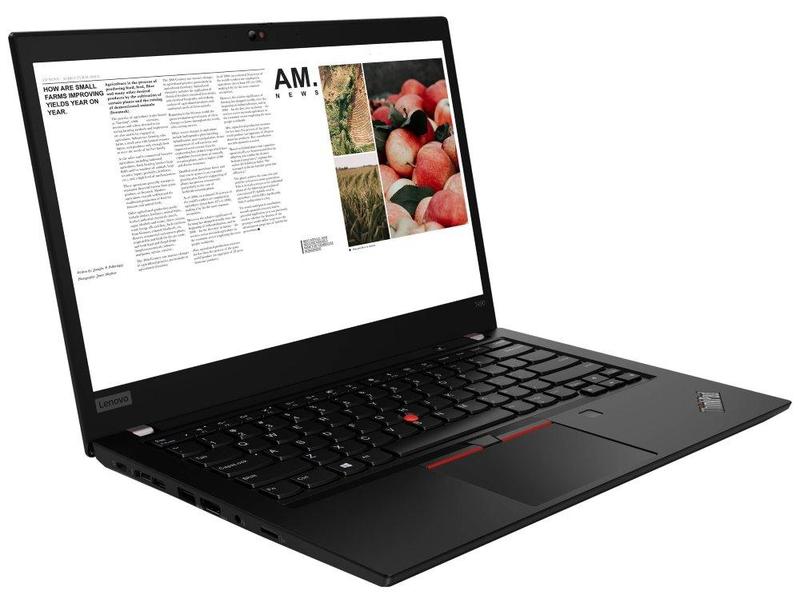 Notebook LENOVO ThinkPad T490, černý (black)