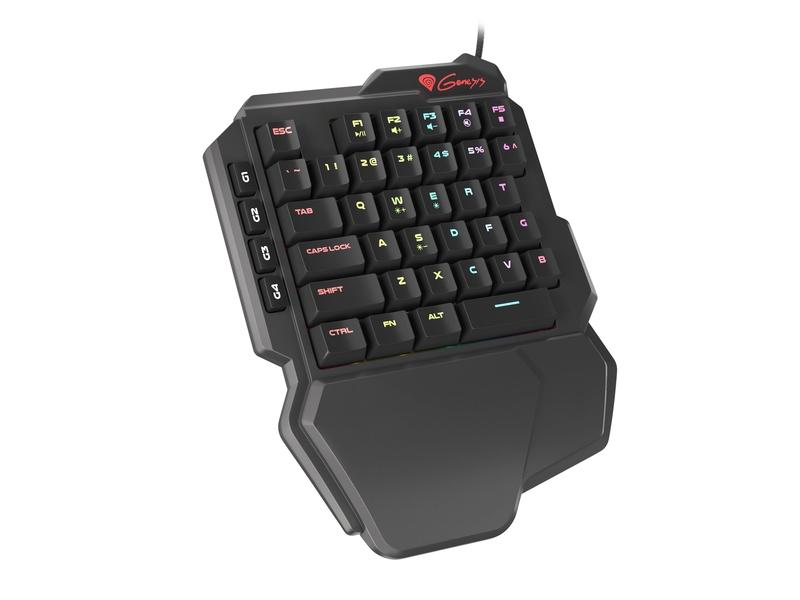 Klávesnice NATEC Genesis Thor 100 RGB, černá (black)