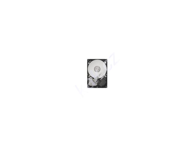 Pevný disk SEAGATE  Barracuda 7200.11 320GB, ST3320613AS
