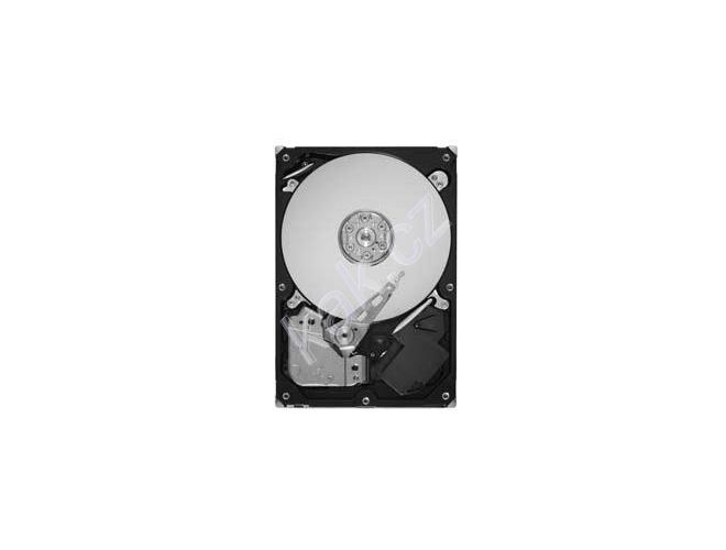 Pevný disk SEAGATE  Barracuda Low Power 1TB, ST31000520AS