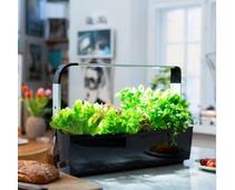 Obrázek k produktu: TREGREN T12 Kitchen Garden, černý (black)