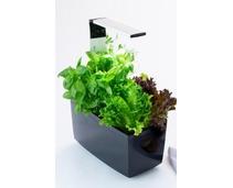 Obrázek k produktu: TREGREN T6 Kitchen Garden, černý (black)
