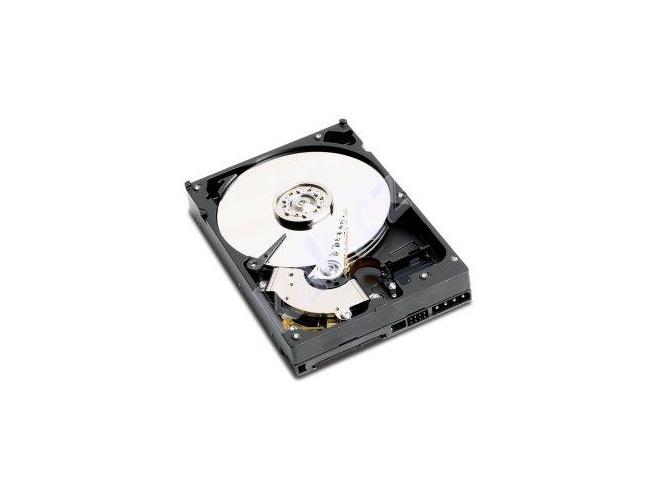 Pevný disk WESTERN DIGITAL  Caviar SE16 500GB, WD5000AAKS