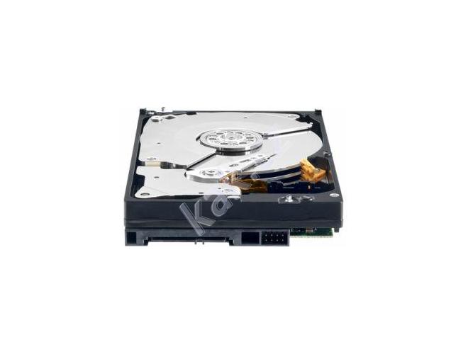 Pevný disk WESTERN DIGITAL  Caviar RAID Edition3 500GB