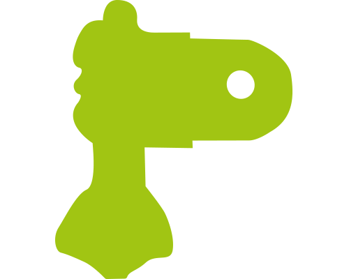 Outdoorová kamera LAMAX X31 Atlas černá black