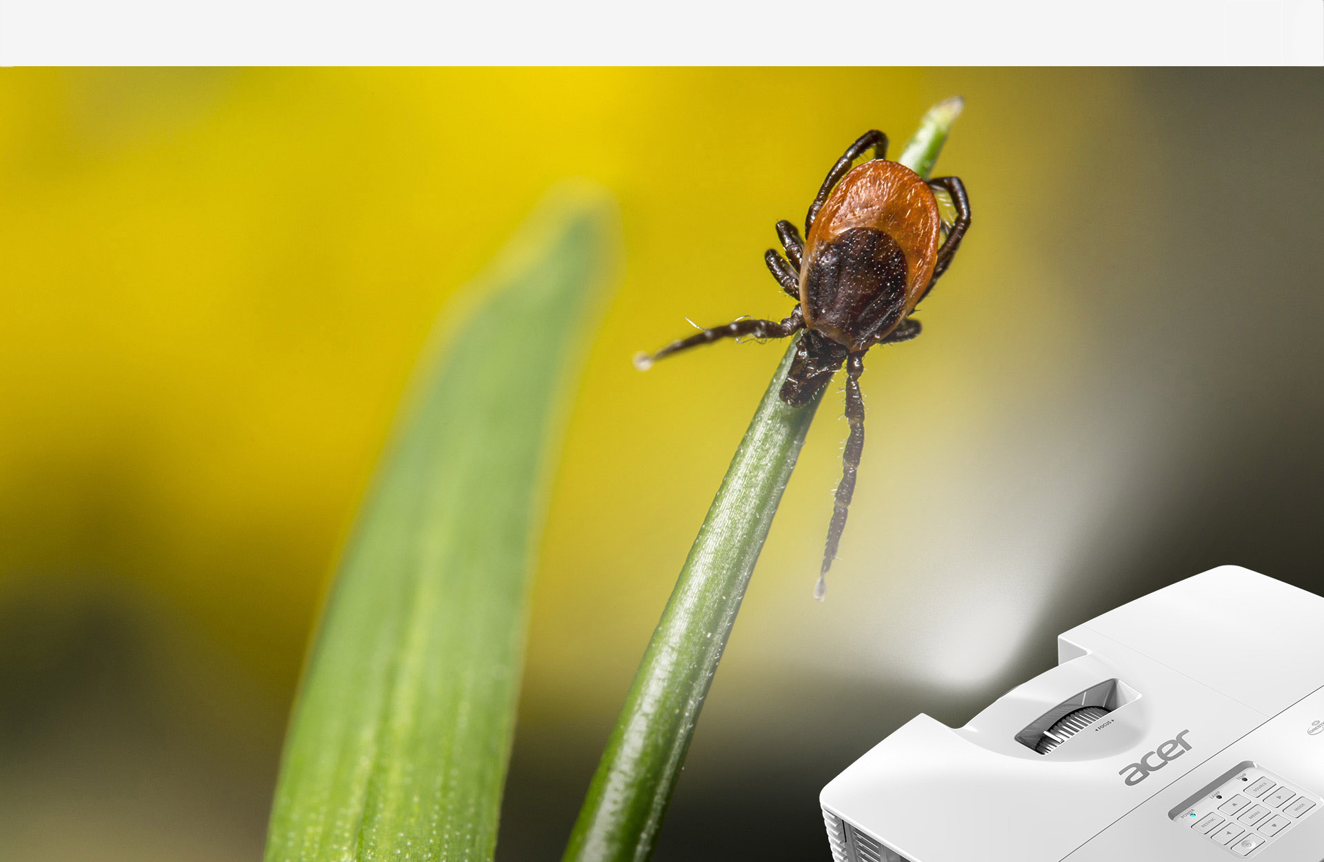 Projektor ACER DLP S1386WH bílý white