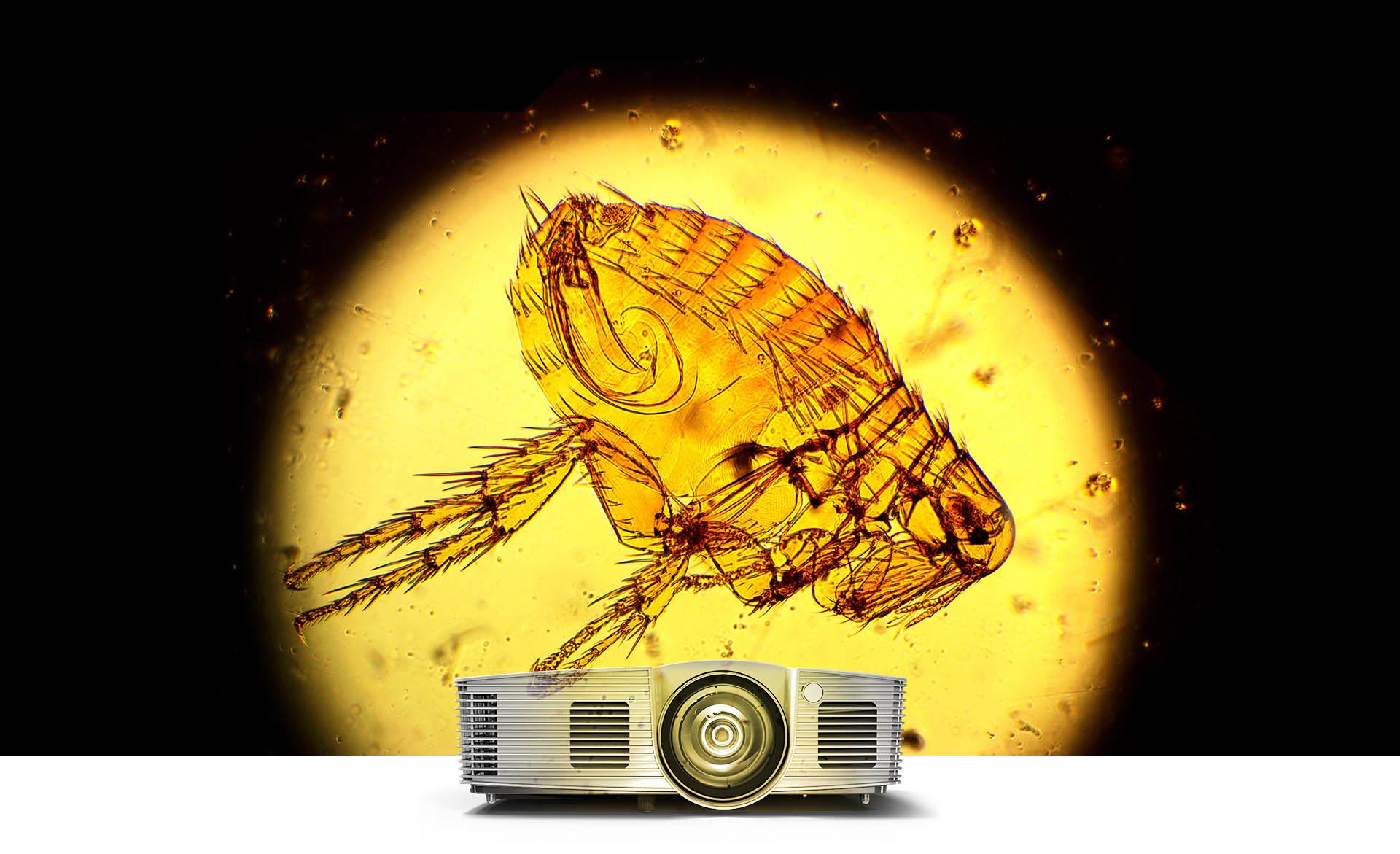 Projektor ACER DLP S1386WH bílý white