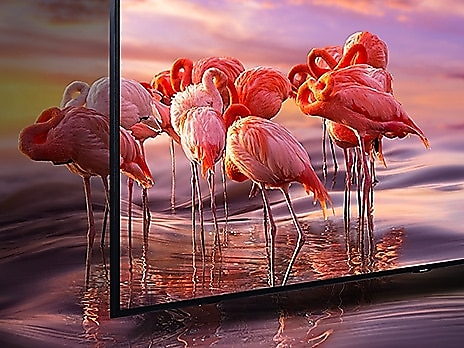 49 QLED 4K TV SAMSUNG QE49Q60R černá black