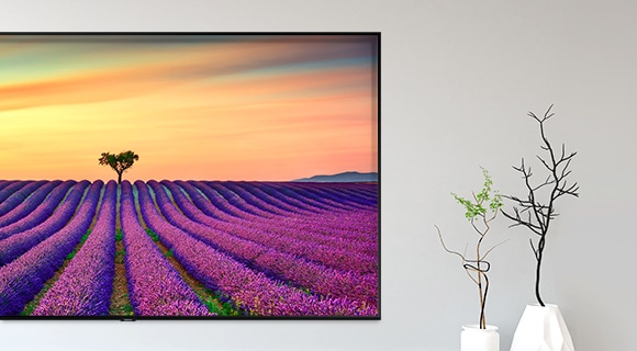 49 QLED 4K TV SAMSUNG QE49Q60R černá black