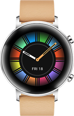  HUAWEI Watch GT 2 Black Fluoroelastomer Strap