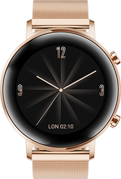  HUAWEI Watch GT 2 Black Fluoroelastomer Strap