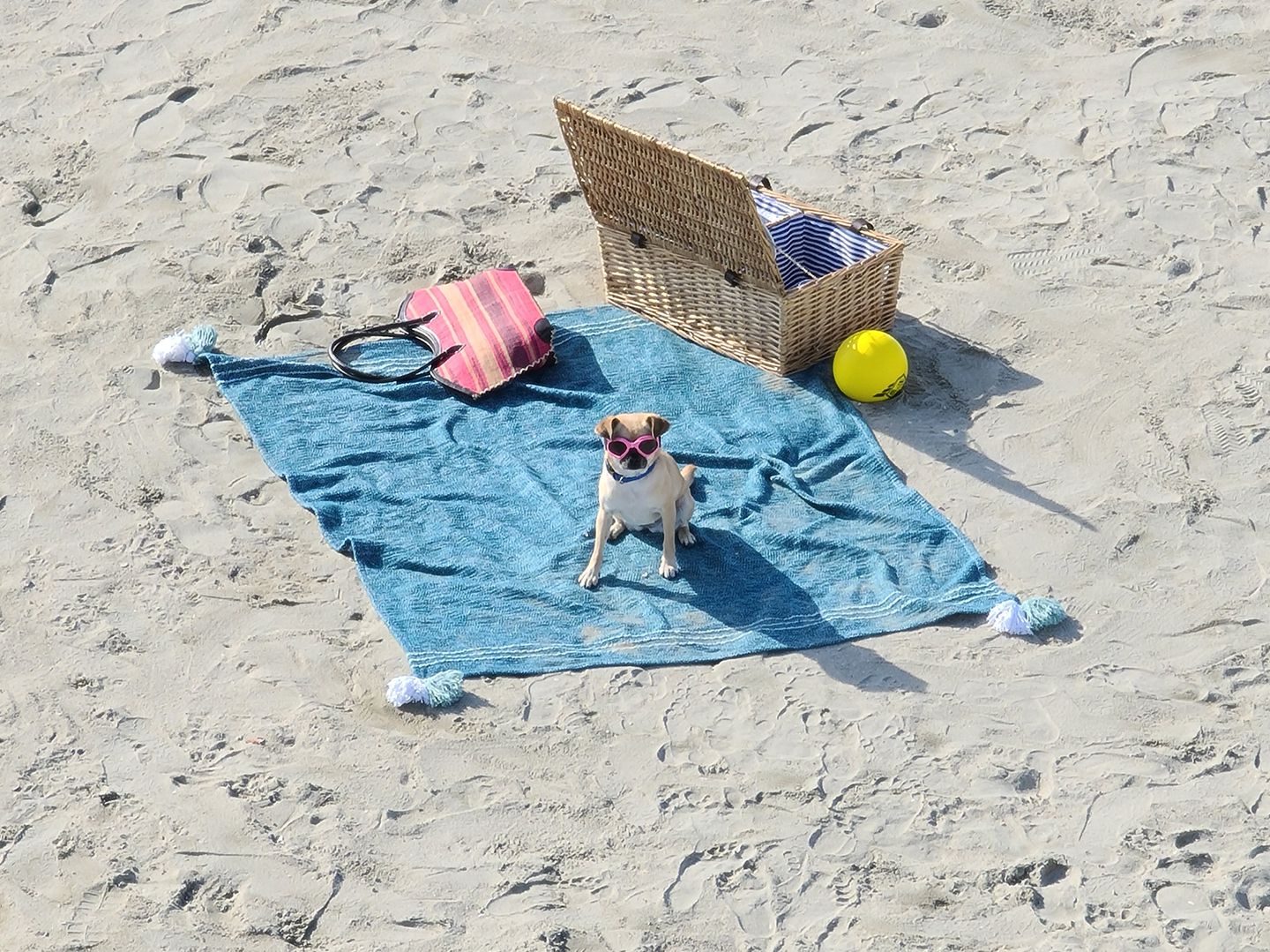 Mobilní telefon SAMSUNG Galaxy S20 Ultra 5G černý black