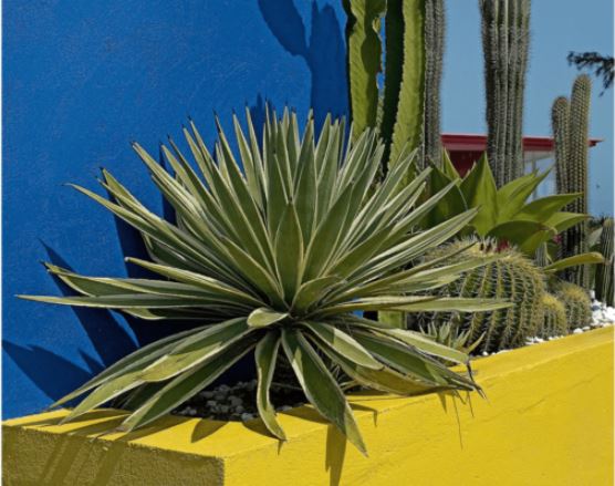 Mobilní telefon XIAOMI Redmi Note 10S 6GB128GB modrý blue