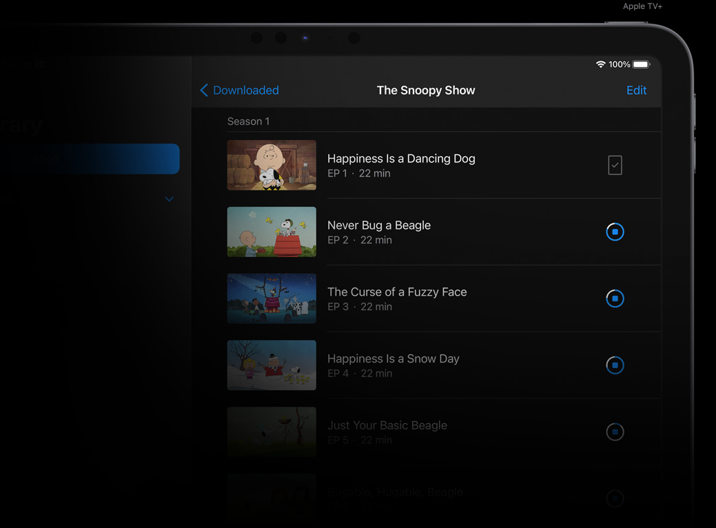 Tablet APPLE iPad Pro 11 WiFi + Cellular 512GB 2021 šedý gray