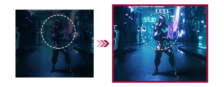 32 LCD monitor LG 32GN500