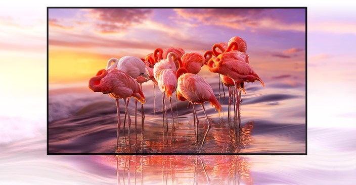 43 QLED TV SAMSUNG QE43Q67A