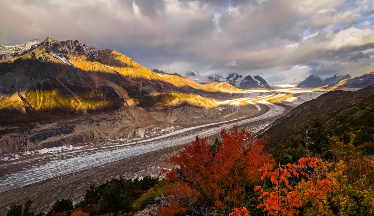 Mobilní telefon HONOR 50 lite 6128GB modrý