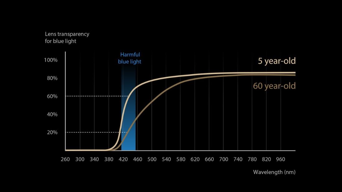 Notebook ASUS VivoBook OLED 15 černý black