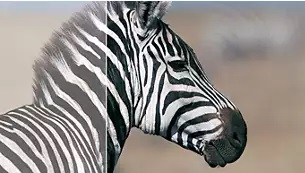 24 LED monitor PHILIPS 241V8LA