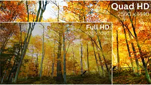 Philips326P1H315''''IPSQHD75Hz4msBlack3R